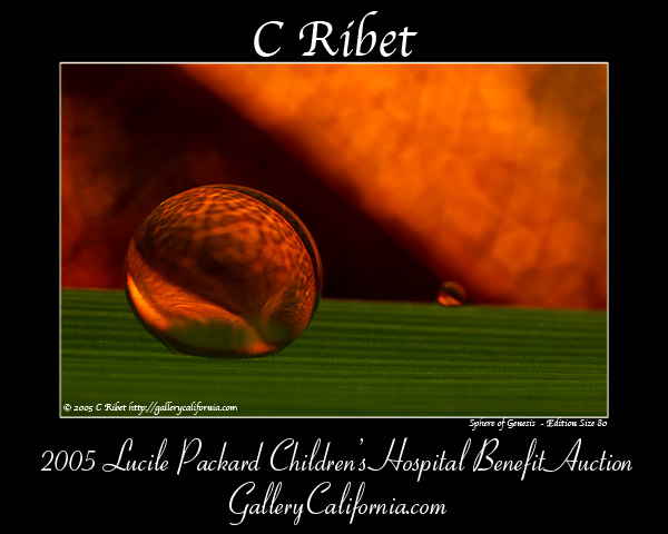 c_ribet_poster_sphere_of_genesis_WonB