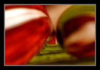 Abstract Photos For Sale Online 05