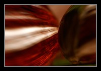 Abstract Photos For Sale Online 07