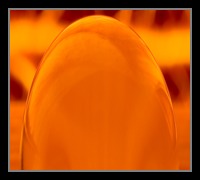 Abstract Photos For Sale Online 23