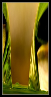 Abstract Photos For Sale 33