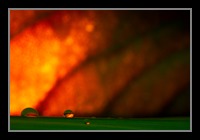 Abstract Photos For Sale Online 38