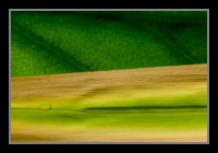 Abstract Photos For Sale Online 40