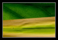 Abstract Photos For Sale 40