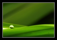 Abstract Photos For Sale Online 44