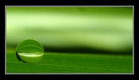 Abstract Photos For Sale Online 45