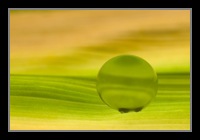 Abstract Photos For Sale 47