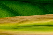 c-ribet-orbscape-seasons-ebb-c-ribet