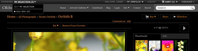 Favorites Drop Down Menu
