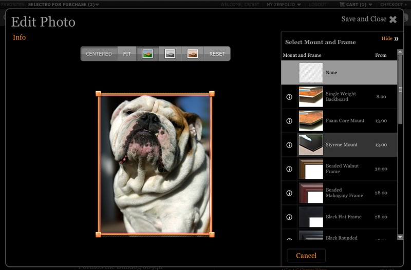 Porthos Zenfolio Edit Framing