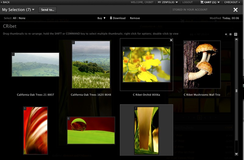 Zenfolio Favorites Set Editing