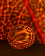 c-ribet-orbscape-1071cc-c-ribet