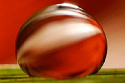 c-ribet-orbscape-1075